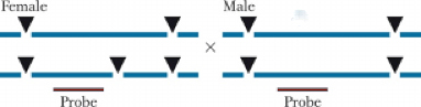 1754_pattern of radioactive.png